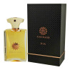 Amouage Dia Man Eau De Perfume Spray 100ml photo